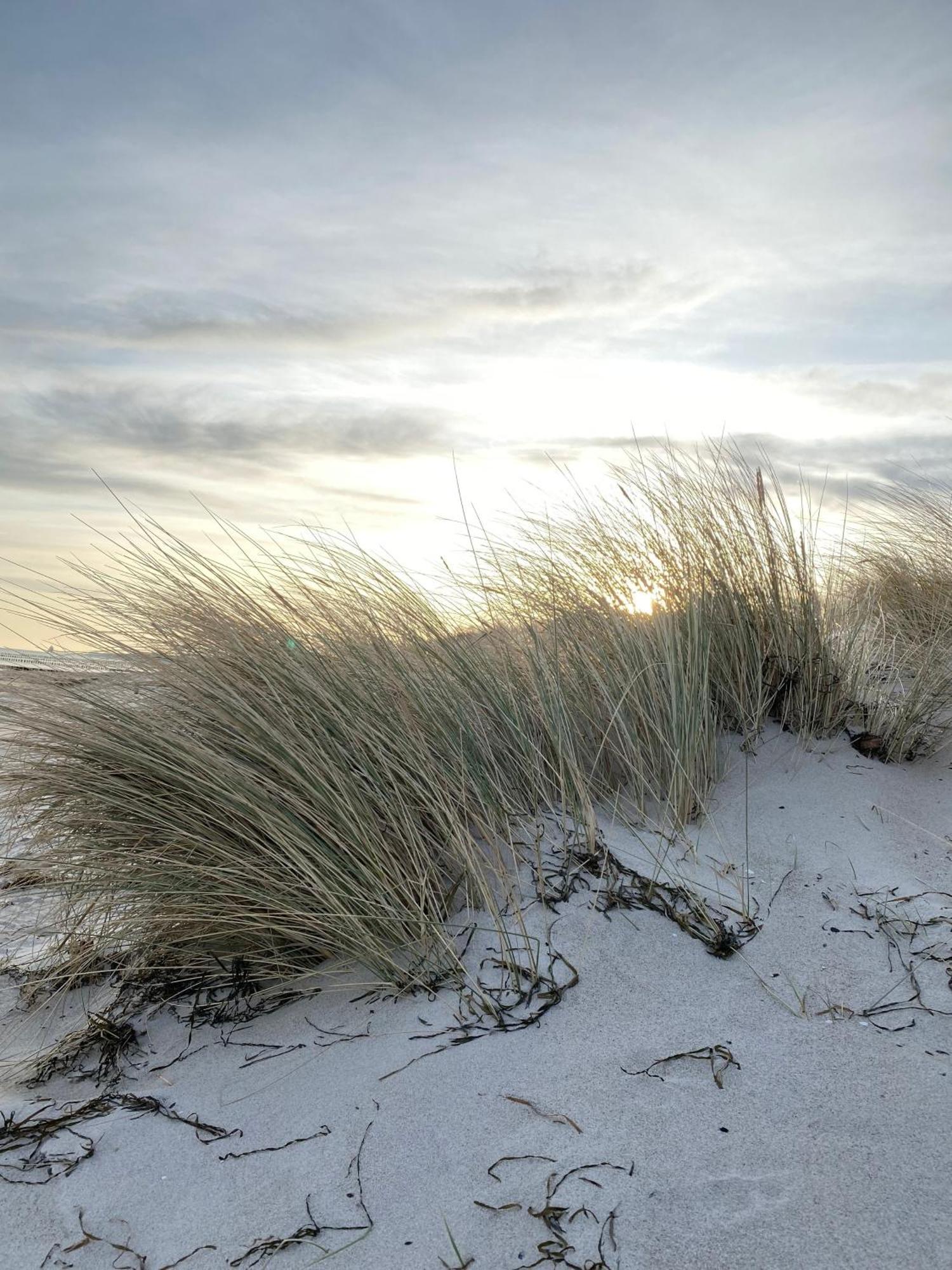 Meehrblick App 215 Lägenhet Zingst Exteriör bild